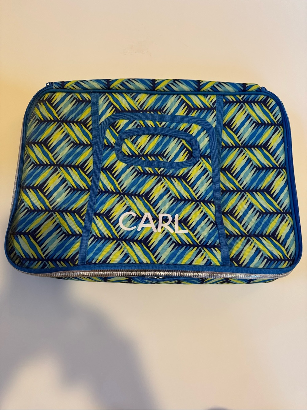 Insulated Blue and Green Casserole Carrying Bag.